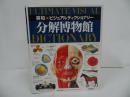 ★英和【分解博物館】ビジュアル・ディクショナリー/1996年/人体・体・解剖・図鑑・