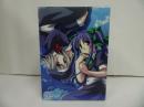 ★DVD-BOX【Wind-a breath of heart-/ウインド ア ブレス オブ ハート】初回限定版