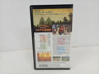 ★映画ビデオ　喜多郎 十五少女漂流記/ 奥山佳恵・山本 未來