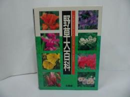 ★【野草大百科】平成4年/花・植物