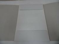★中国書・書道【伊湾漢墓出土簡牘　 22葉揃い】日本書芸院 中国書道　神鳥傅　禮錢簿　贈錢名簿　集簿