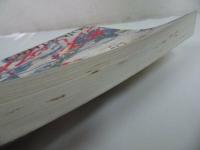★図録【没後70年 児島虎次郎】児島虎次郎展実行委員会 絵画/1999年