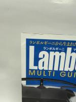 LAMBORGHINI MULTI GUIDE (マガジンボックスPLUS)　ランボルギーニ　マルチガイド