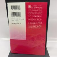 生成AIのしくみ　〈流れ〉が画像・音声・動画をつくる (岩波科学ライブラリー 328) 岩波書店 岡野原 大輔