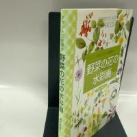 野菜の花の水彩画: ポケットに絵筆を 日貿出版社 黒岩 多貴子