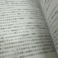 概説アメリカ・スペイン語 大学書林 三好 準之助