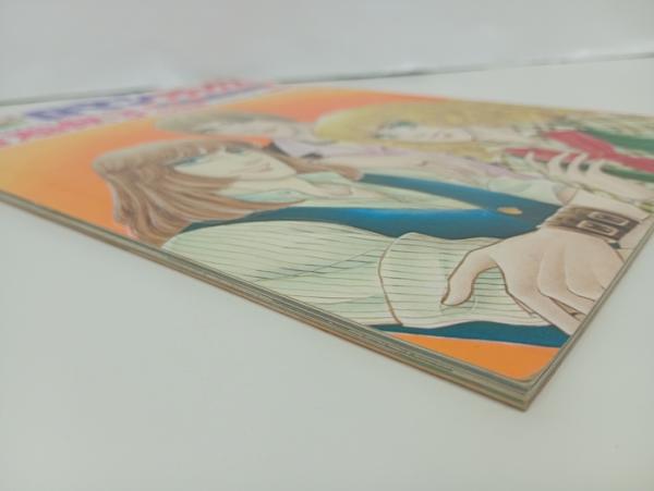 プリンセス増刊号「プリンセスロマンデラックス 青池保子の世界