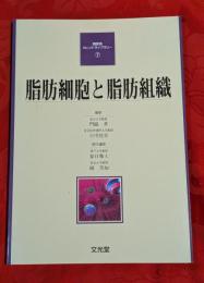 脂肪細胞と脂肪組織