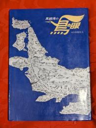 真鍋博の鳥の眼