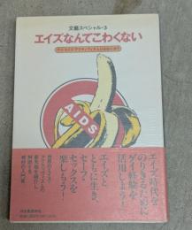 エイズなんてこわくない : ゲイ/エイズ・アクティヴィズムとはなにか?