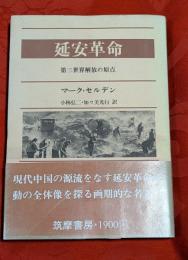 延安革命 : 第三世界解放の原点