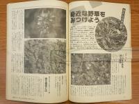 子どもと楽しめる遊びの本　となりのおとうさん、おかあさんと差をつける　レクリエーション