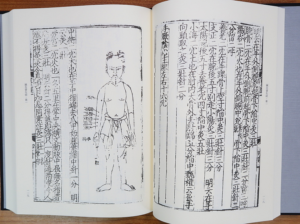 東方医学善本叢刊 全6巻＋解題・総目次 オリエント出版社-