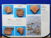 目で見る矢野町史　古代編
