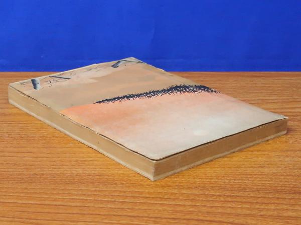 南山激戦史(関山勝三) / 岩書房 / 古本、中古本、古書籍の通販は「日本