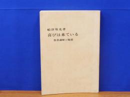 喜びは来ている　聖書講解と随想