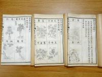 校正 本草綱目 全24冊 本巻・序・図(上・中・下)
