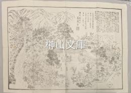 濃州養老山養老寺図