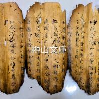 焼経断簡26行②