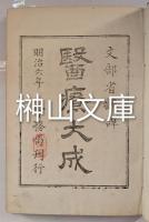 文部省翻訳　医療大成