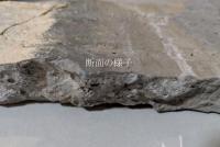 中国古代画像磚（部分）