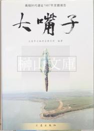 大嘴子　青銅時代遺址1987年発掘報告