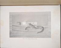 The Ikeda Collection of Kakemonos and Screens