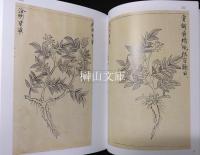杏雨書屋蔵　重要文化財薬種抄　一・二　揃