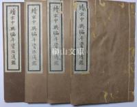 続宋中興編年資治通鑑　揃