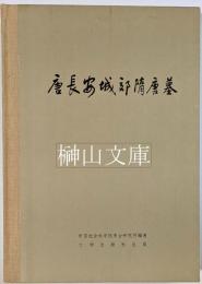 唐長安城郊隋唐墓