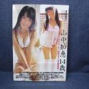 本　山中知恵 14歳　安藤清太　2010年12月25日　株式会社アイマックス