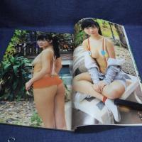 本　山中知恵 恥じらいボディ　長谷部司　2015年5月25日　株式会社ウーノ