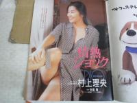 アクションカメラ　平成6年3月1日　ワニマガジン社　
1994年　宮内知美　みるく