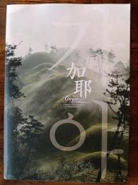 特別展　加耶　The gaya