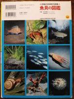 魚貝の図鑑　 小学館の学習百科図鑑