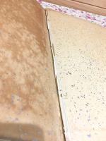 遼金時代ノ建築ト其佛像 図版 上下巻揃