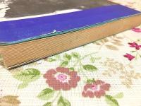 ふるさと小野田