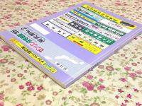 ゼンリン住宅地図 山口県 阿武郡 No.2 阿東町 須佐町 田万川町 1995年