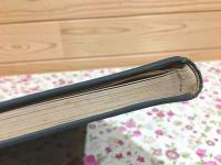 朝鮮考古図録第二冊 杉原長太郎氏蒐集考古品図録