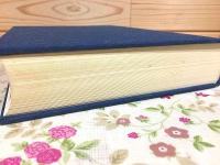 小野田セメント百年史