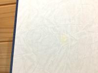 小野田セメント百年史