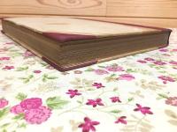 上野國佐波郡赤堀村今井 茶臼山古墳 帝室博物館学報第六 附録 埴輪家聚成