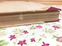 上野國佐波郡赤堀村今井 茶臼山古墳 帝室博物館学報第六 附録 埴輪家聚成