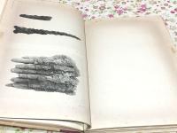 上野國佐波郡赤堀村今井 茶臼山古墳 帝室博物館学報第六 附録 埴輪家聚成