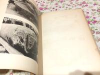 鶴岡八幡宮国宝大鳥居修理工事報告書