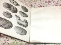 白神壽吉氏蒐集考古品図録 朝鮮考古図録第1冊