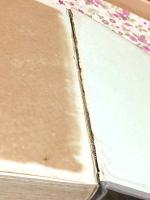 ダバオ邦人開拓史