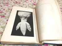 考古図録 関東庁博物館