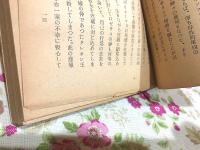 西洋文化史観 : 東と西