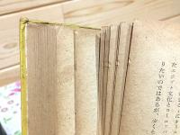 古代エジプト文化 : パピルス古文書を中心として